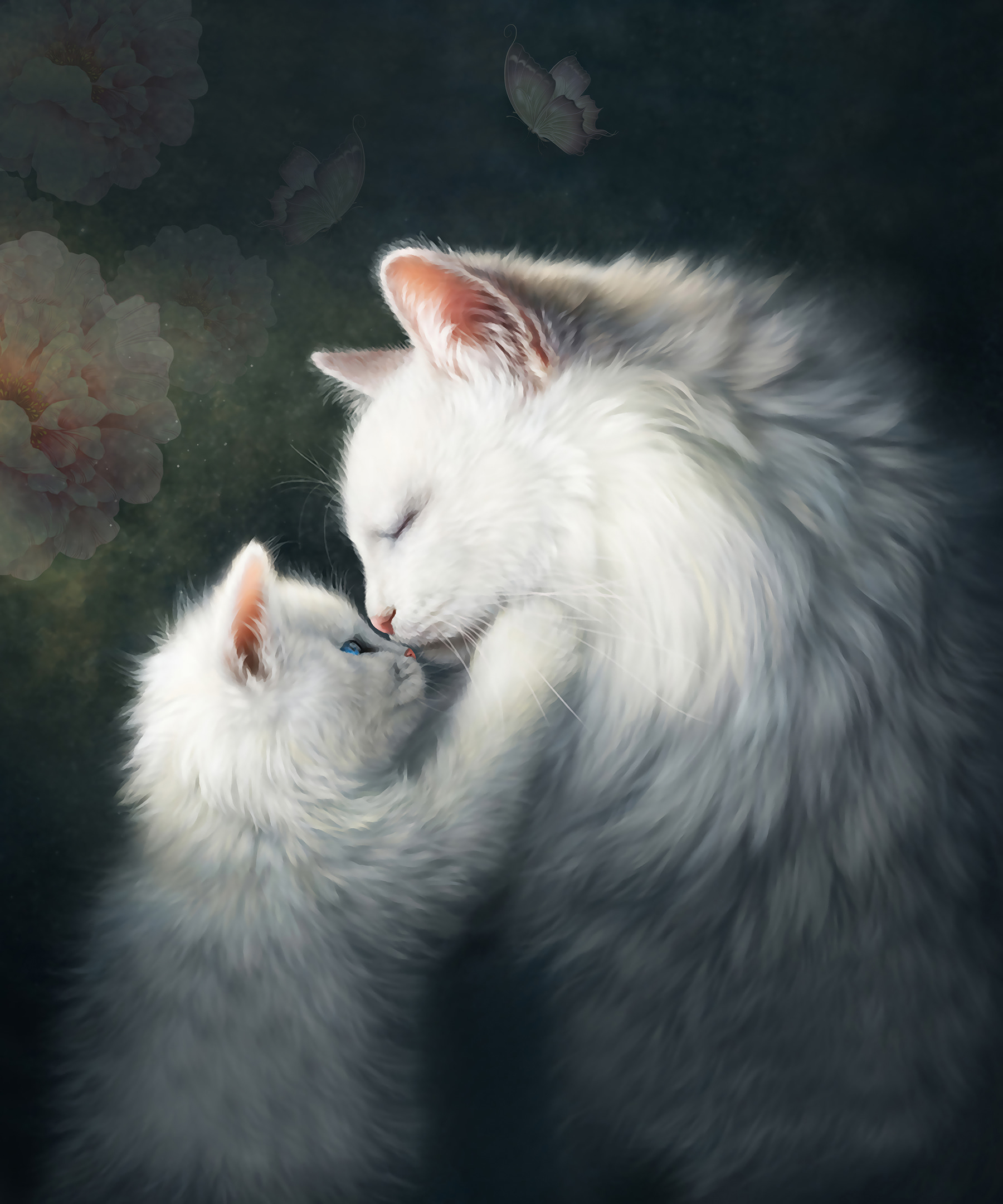 Cat and kitten kissing Cat and kitten kissing