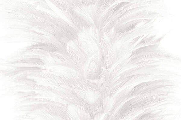 Soft and delicate feather texture u37957p 600x400 - Soft and delicate feather texture - tegory