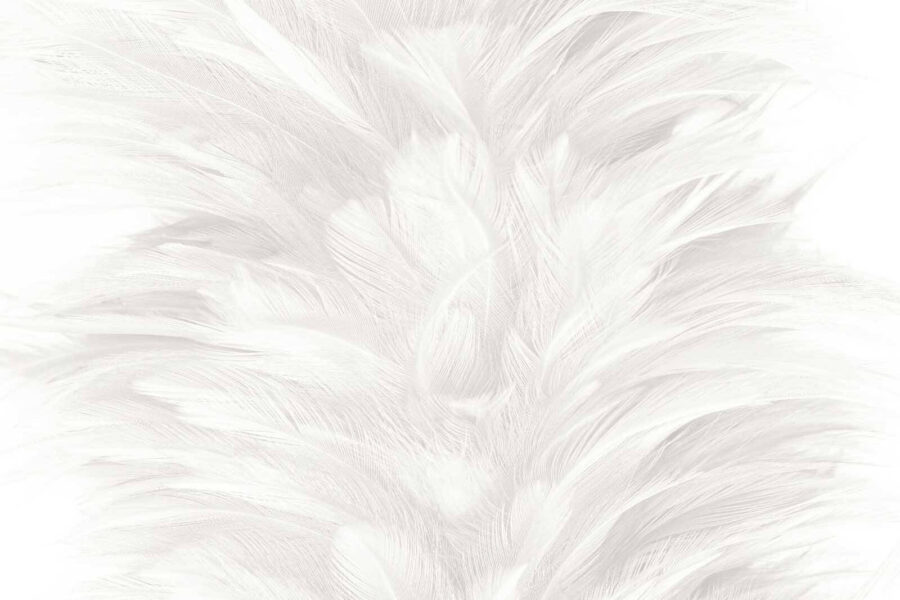 Wall murals Soft and delicate feather texture - Image 2