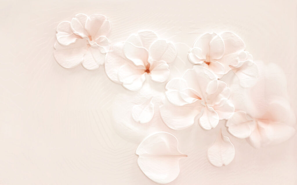 Group of white flowers u37030p 1024x640 - Group of white flowers - tegory