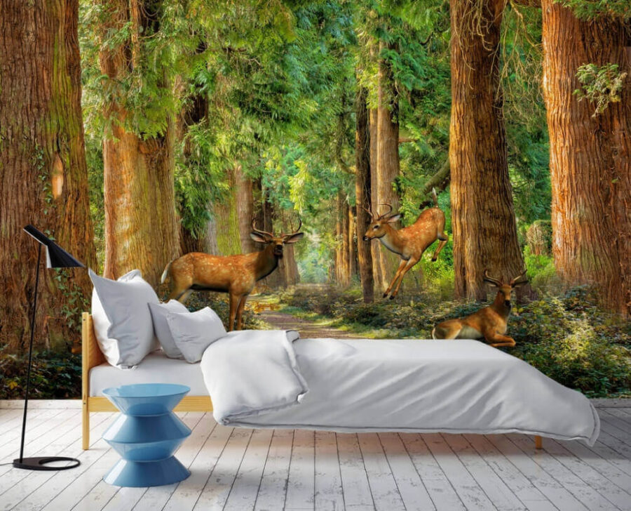 Group of deer in a forest u37019pib1m 900x728 - Group of deer in a forest - tegory