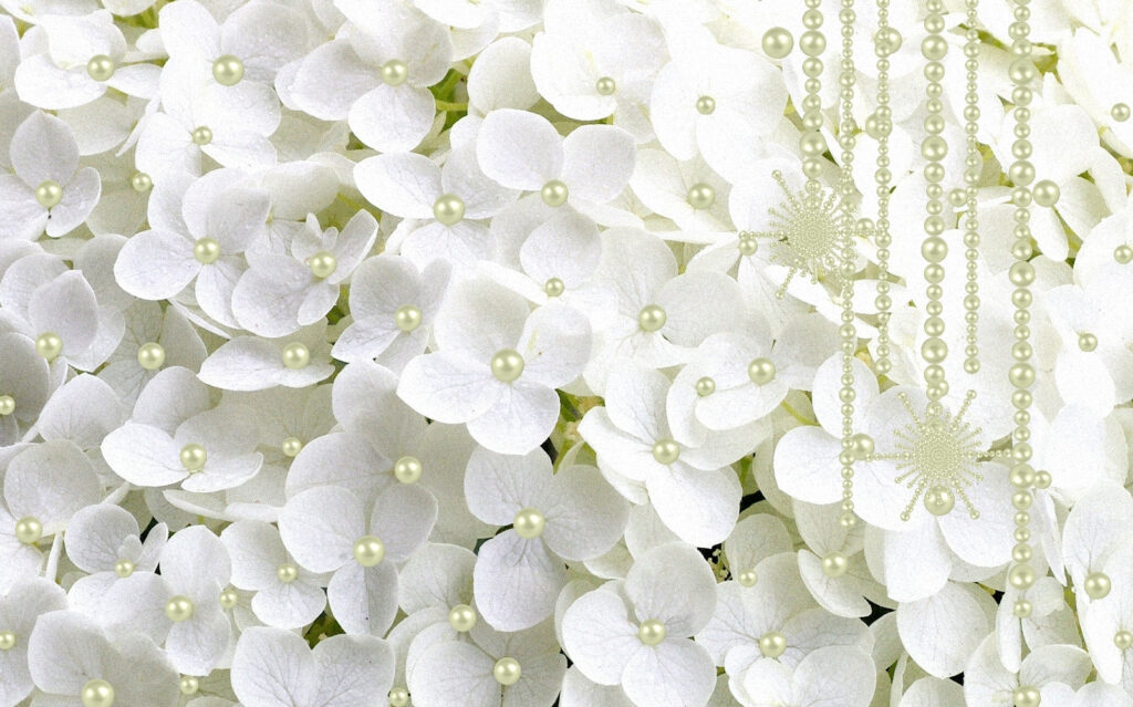 Group of white flowers Group of white flowers