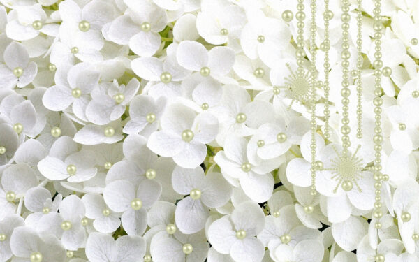 Group of white flowers Group of white flowers