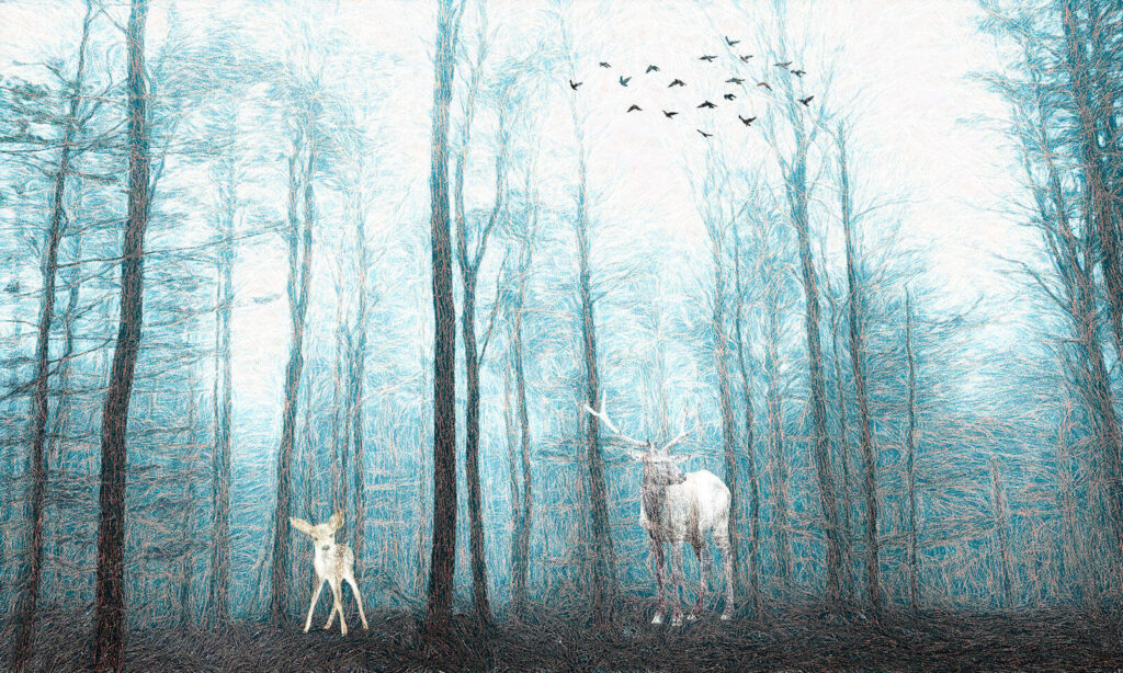Deer in the woods u34343p 1024x614 - Deer in the woods - tegory