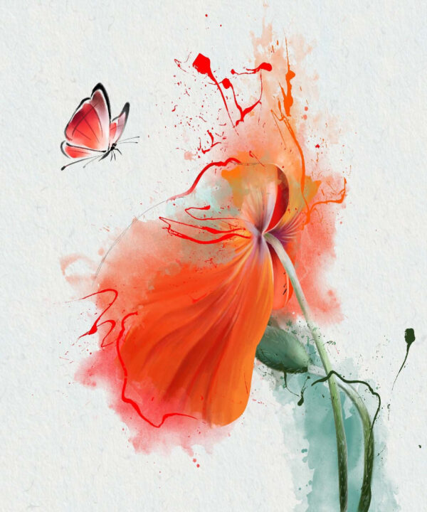 Butterfly on a flower Butterfly on a flower