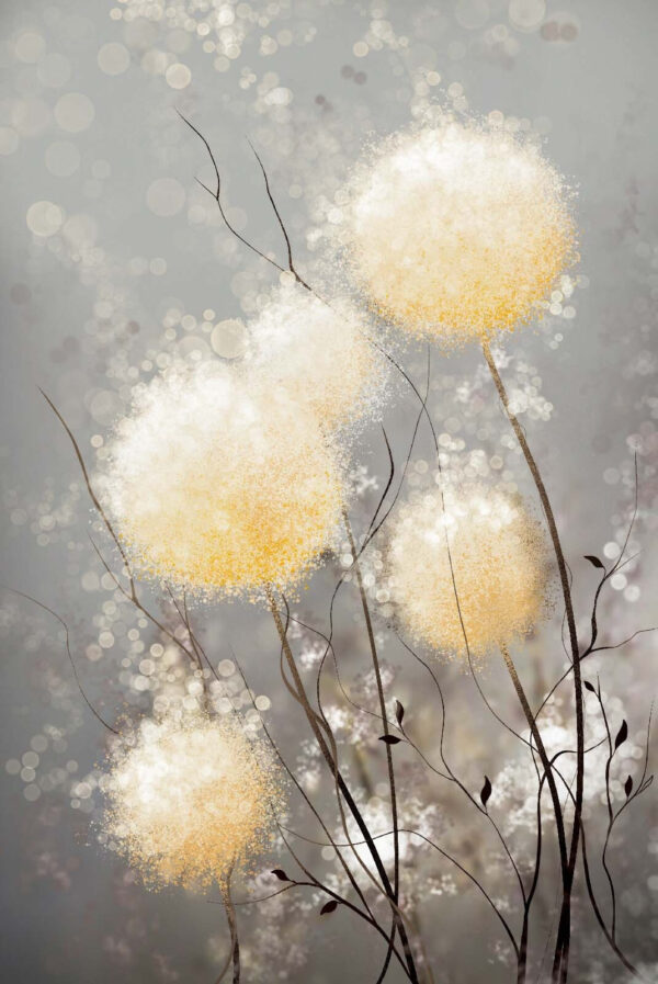 Group of white and yellow flowers Group of white and yellow flowers
