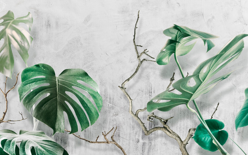Lush leaves against a textured backdrop. Lush leaves against a textured backdrop.