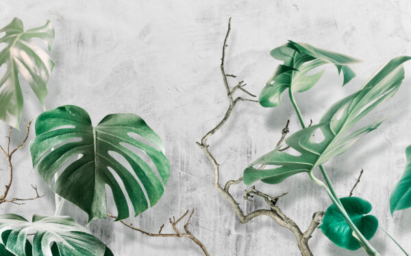 Lush leaves against a textured backdrop. Lush leaves against a textured backdrop.