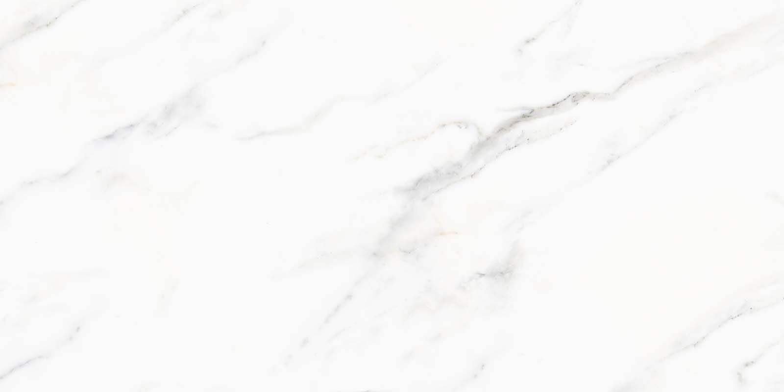 White marble surface with black veins u33409p - White marble surface with black veins - tegory