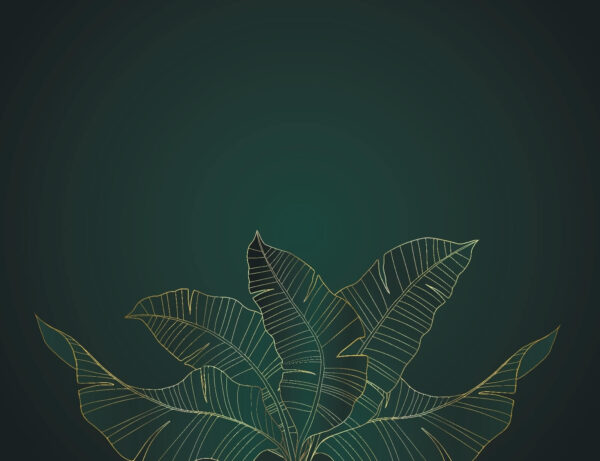 Elegant leaves on a dark background u32469p 600x461 - Elegant leaves on a dark background - tegory