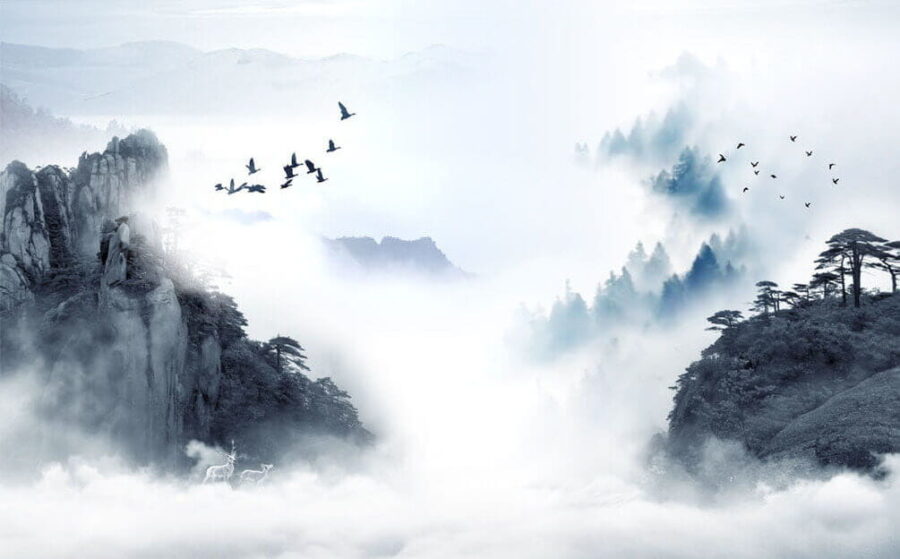 Birds flying over a mountain