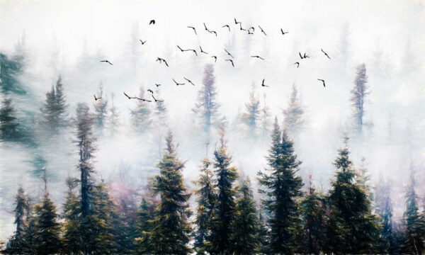 Birds flying in the sky over trees u32237p 600x360 - Birds flying in the sky over trees