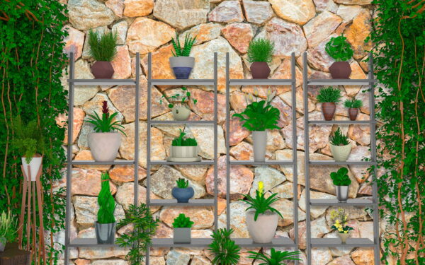 Group of plants on shelves u28948p 600x375 - Group of plants on shelves - tegory
