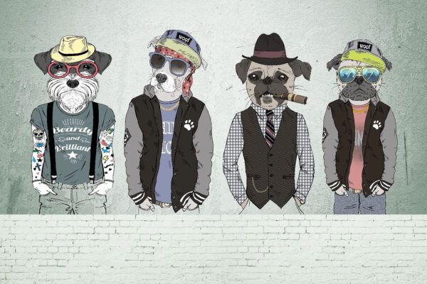 Group of dogs wearing hats and sunglasses u28592p 600x400 - Group of dogs wearing hats and sunglasses