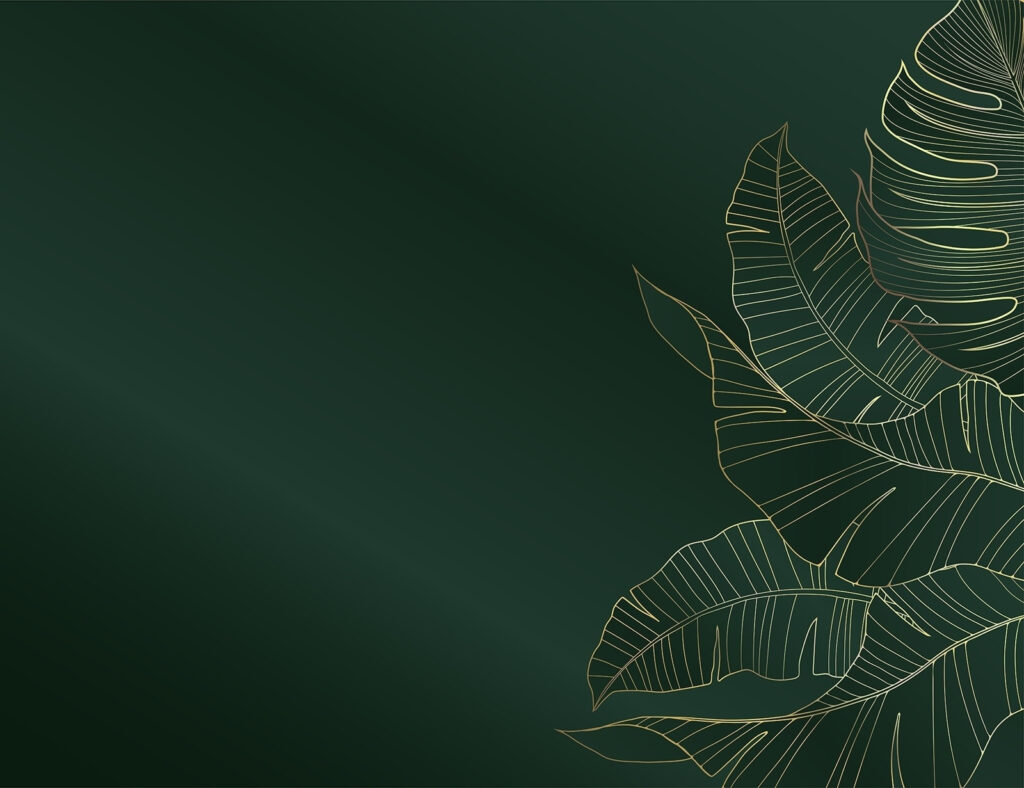 Elegant foliage on dark emerald backdrop. Elegant foliage on dark emerald backdrop.