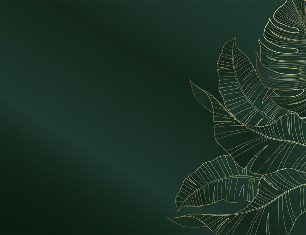 Elegant foliage on dark emerald backdrop. Elegant foliage on dark emerald backdrop.
