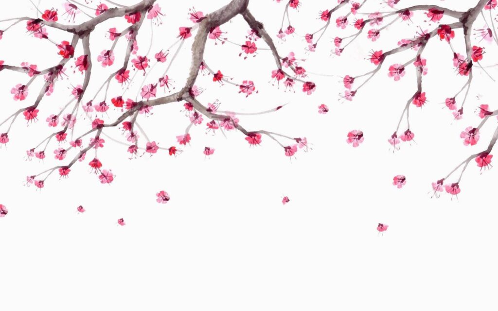 Tree with pink flowers u28004p 1024x640 - Tree with pink flowers - tegory