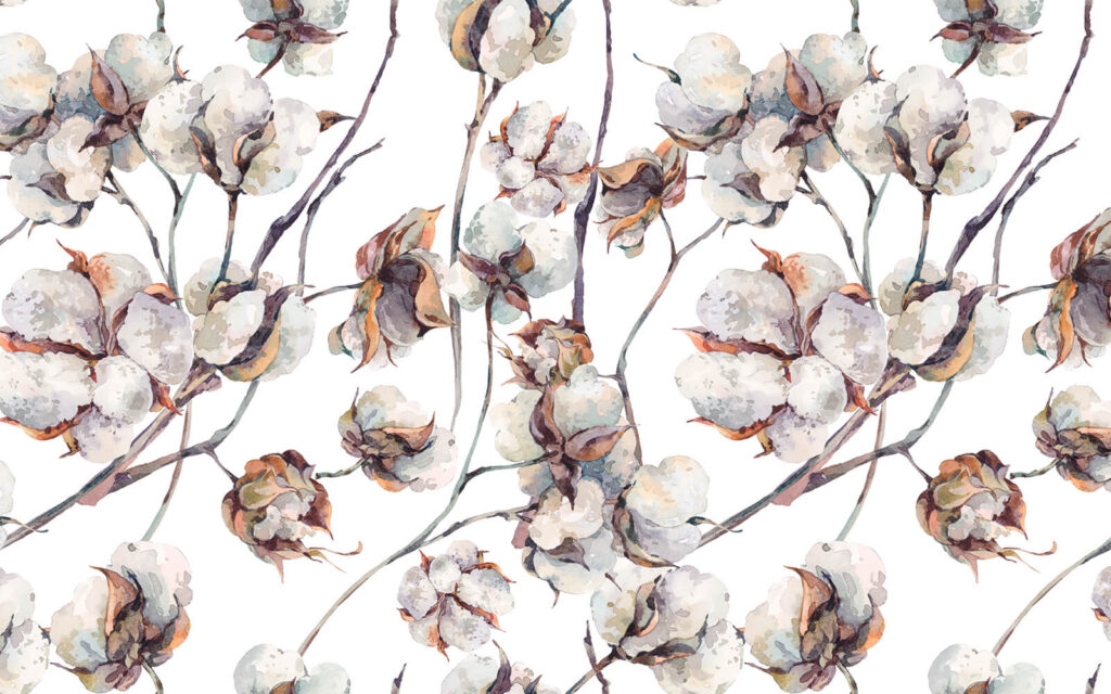 u25957p 1024x640 - Pattern of cotton flowers - tegory