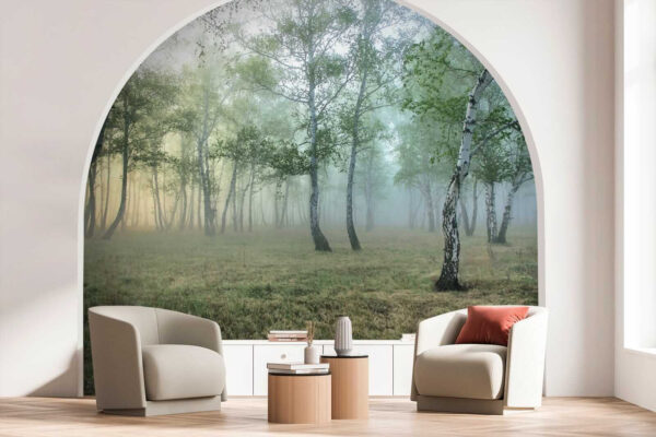 Foggy forest with trees Foggy forest with trees