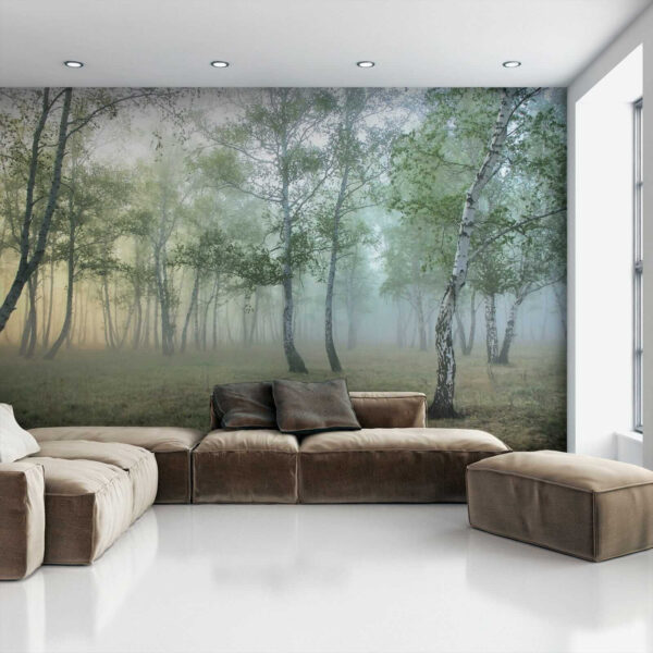 Foggy forest with trees Foggy forest with trees