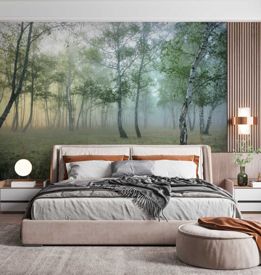Foggy forest with trees Foggy forest with trees