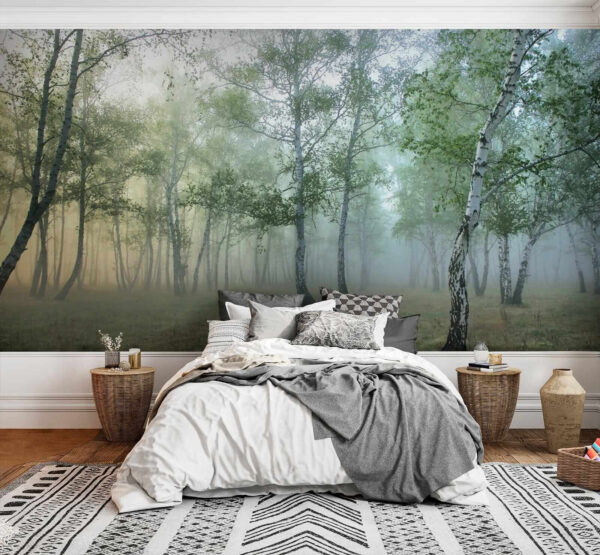 Foggy forest with trees Foggy forest with trees