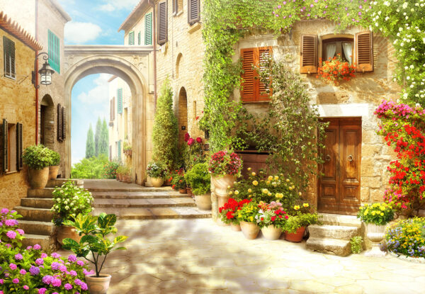 Stone building with a door and a doorway with plants in pots Stone building with a door and a doorway with plants in pots