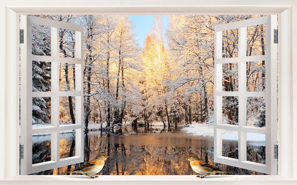 Window with birds looking out of a lake u25116p 1024x640 - Window with birds looking out of a lake - tegory