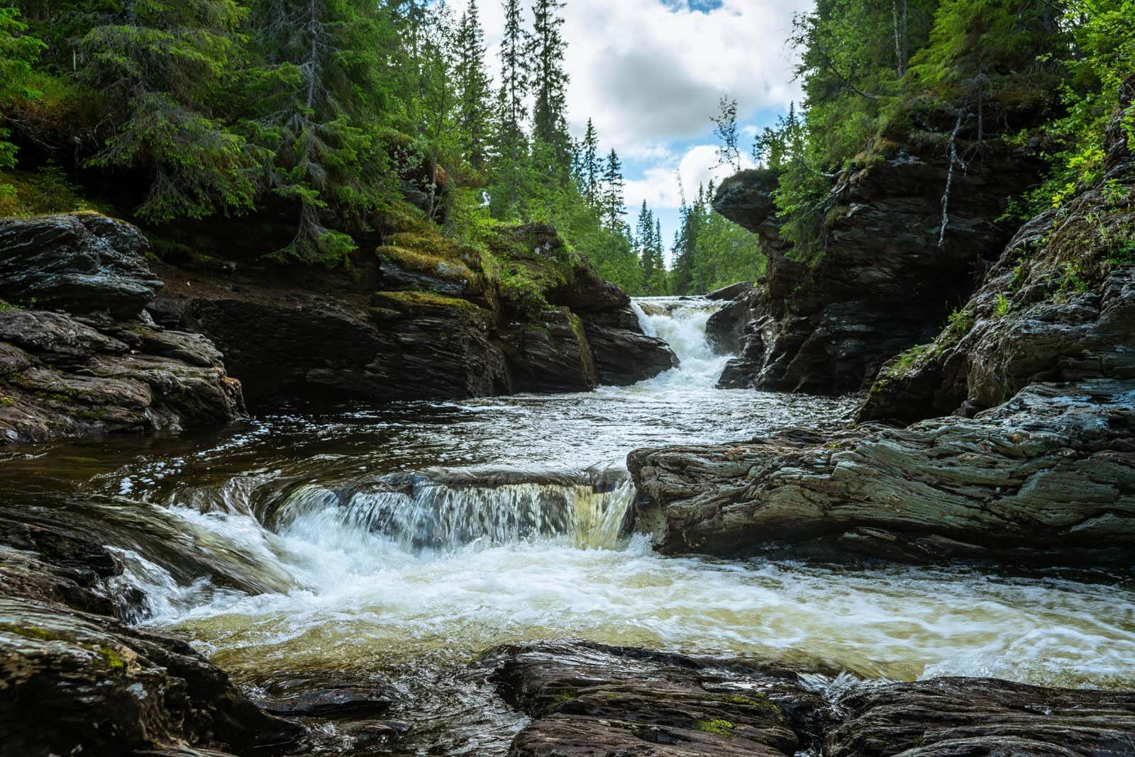 River with rocks and trees u22898p - River with rocks and trees - tegory