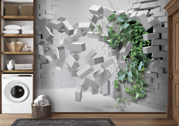 Plant breaking through a wall Plant breaking through a wall