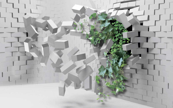 Plant breaking through a wall Plant breaking through a wall