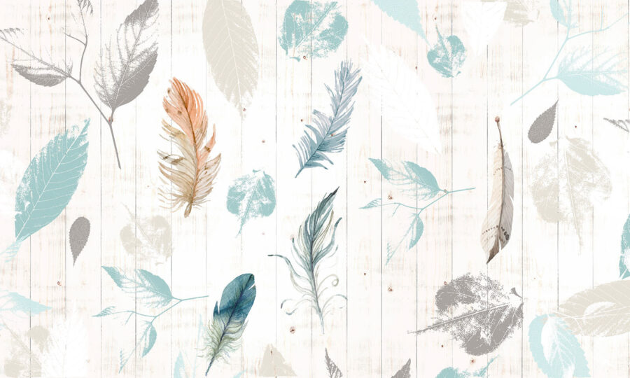 Group of feathers on a wood surface u21570p 900x540 - Group of feathers on a wood surface - tegory