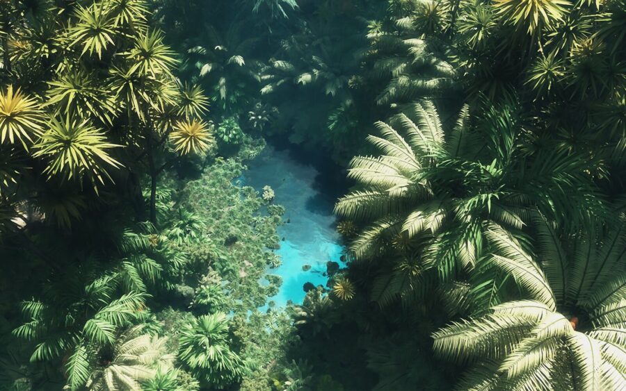 u21288p 900x563 - River surrounded by trees - tegory