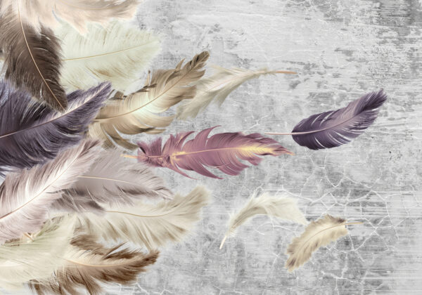 Group of feathers flying u21165p 600x420 - Group of feathers flying