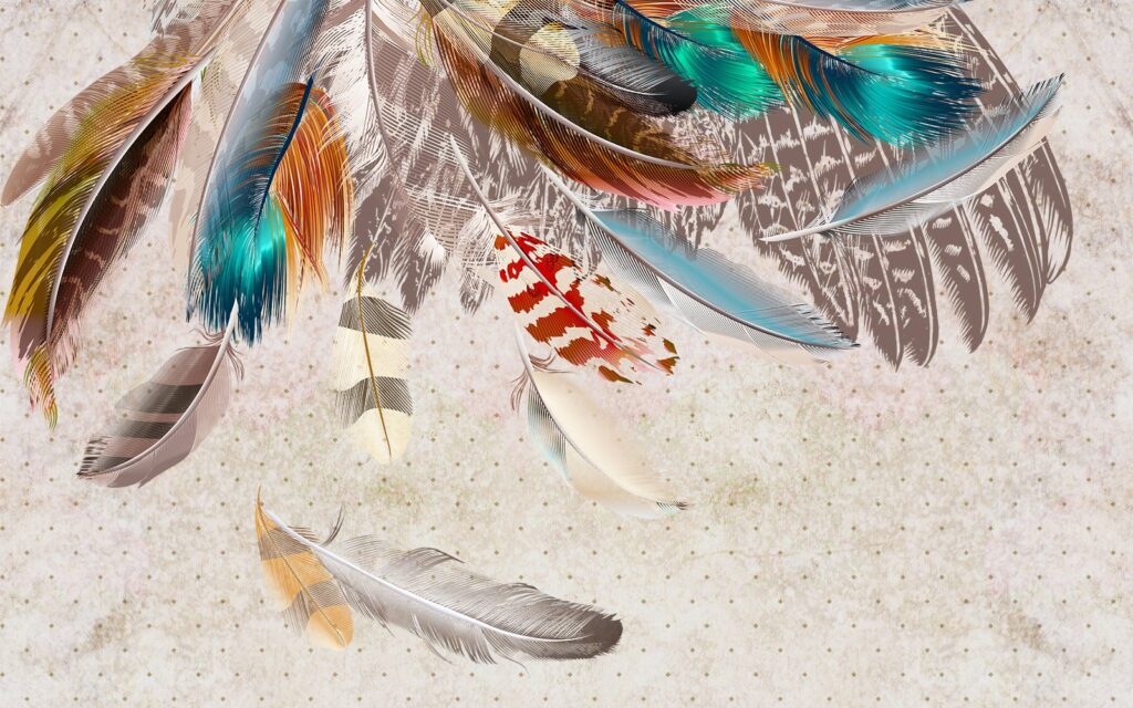 Group of colorful feathers u20247p 1024x640 - Group of colorful feathers - tegory