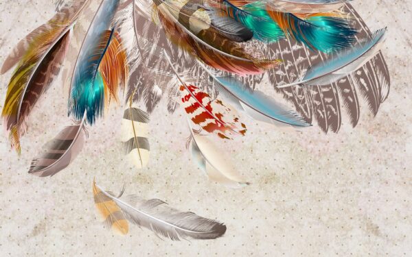 Group of colorful feathers u20247p 600x375 - Group of colorful feathers - tegory