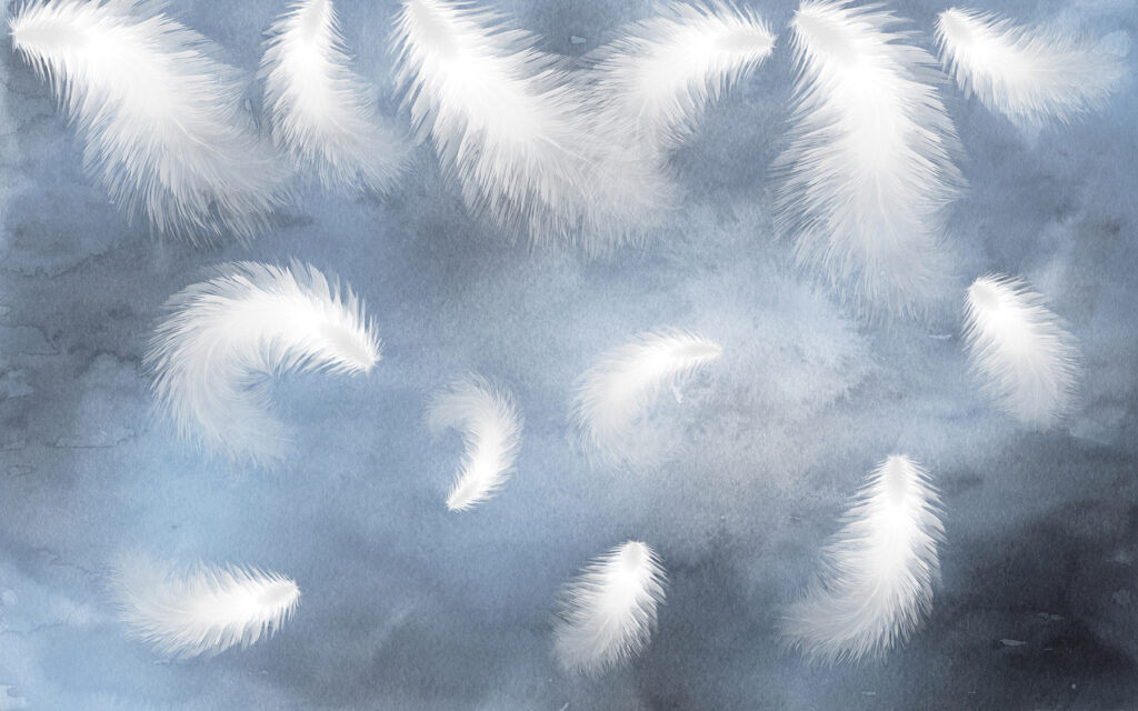 White feathers in the sky u18831p 1024x640 - White feathers in the sky - tegory