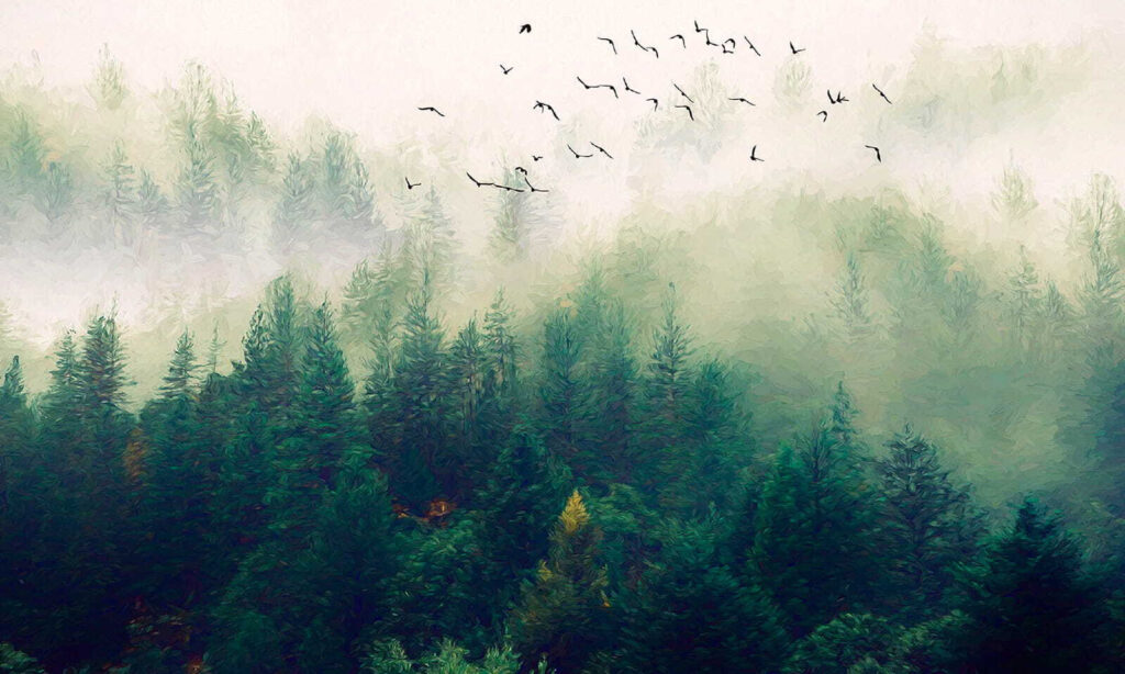 Birds flying over a forest u18632p 1024x614 - Birds flying over a forest - tegory