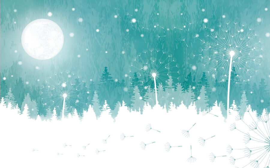 u18359p 900x563 - Moon over a snowy forest - tegory