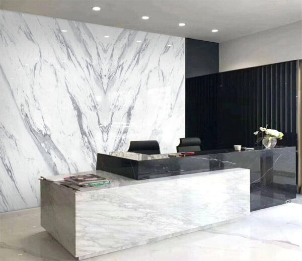 White marble surface with black lines u18098piw1m 600x519 - White marble surface with black lines - tegory