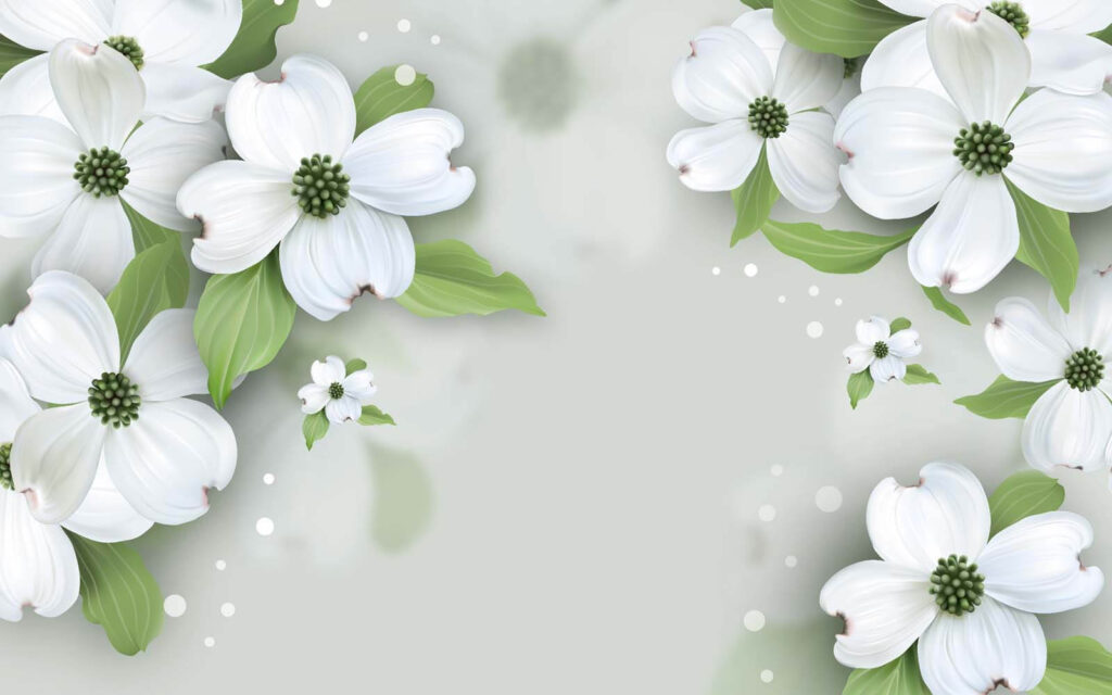 White flowers with green leaves u17150p 1024x640 - White flowers with green leaves - tegory