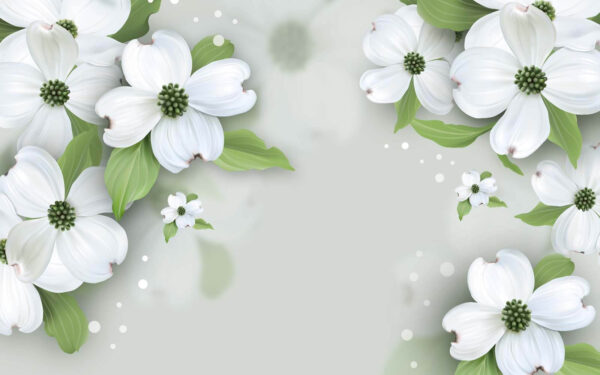 White flowers with green leaves u17150p 600x375 - White flowers with green leaves - tegory