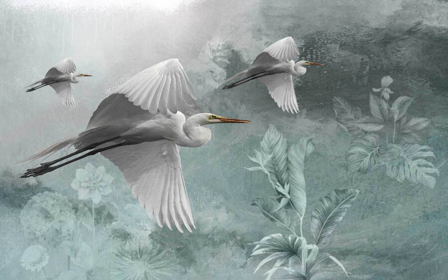 u13942p 900x562 - Group of birds flying in the sky - tegory