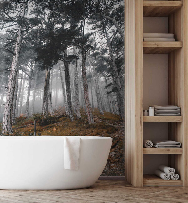 Forest with trees in the fog u12556pit2 600x648 - Forest with trees in the fog - tegory