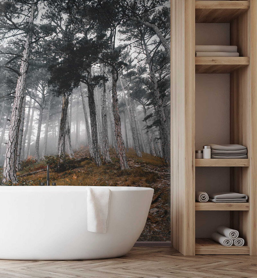 u12556pit2 900x973 - Forest with trees in the fog - tegory