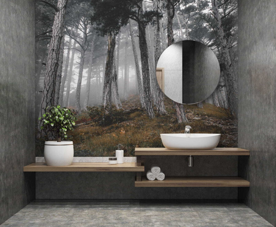 u12556pit1 900x742 - Forest with trees in the fog - tegory