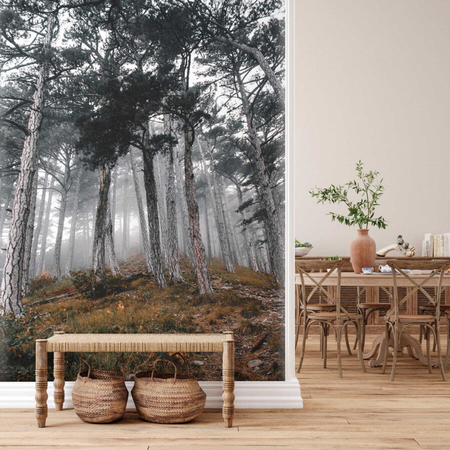 u12556pih4 900x900 - Forest with trees in the fog - tegory