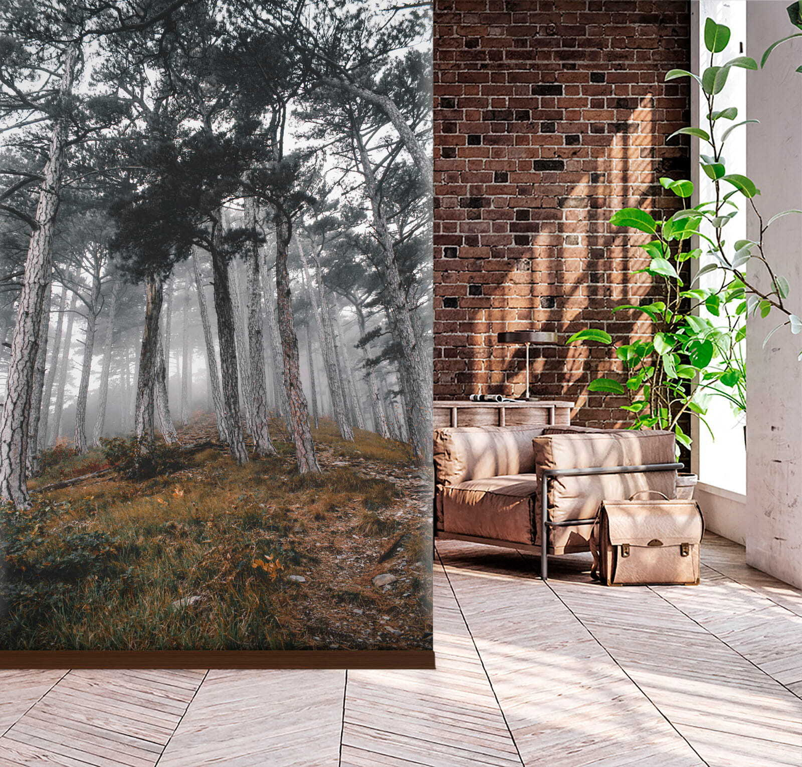 u12556pih3m - Forest with trees in the fog - tegory