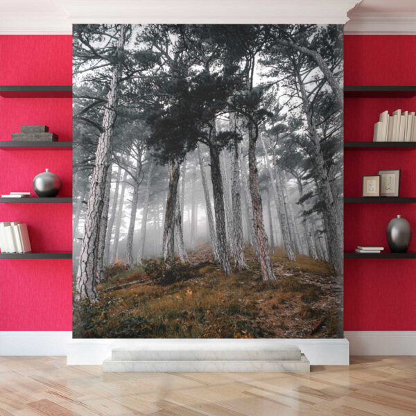 Forest with trees in the fog u12556pih2 600x600 - Forest with trees in the fog - tegory