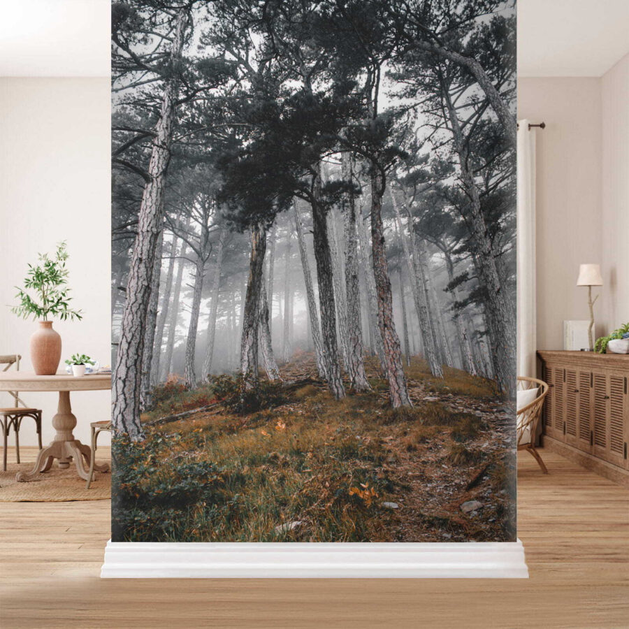 u12556pih1 900x900 - Forest with trees in the fog - tegory